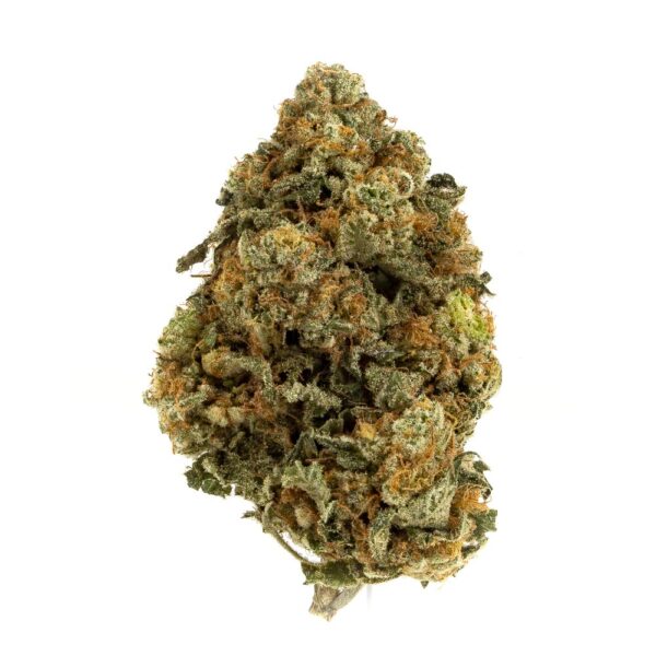 Animal Cookies