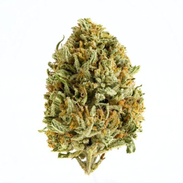 Sea Warp Organic Sun Grown - 28g