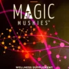 Magic Nootropics Dynamic Energy 20x500mg - Image 2