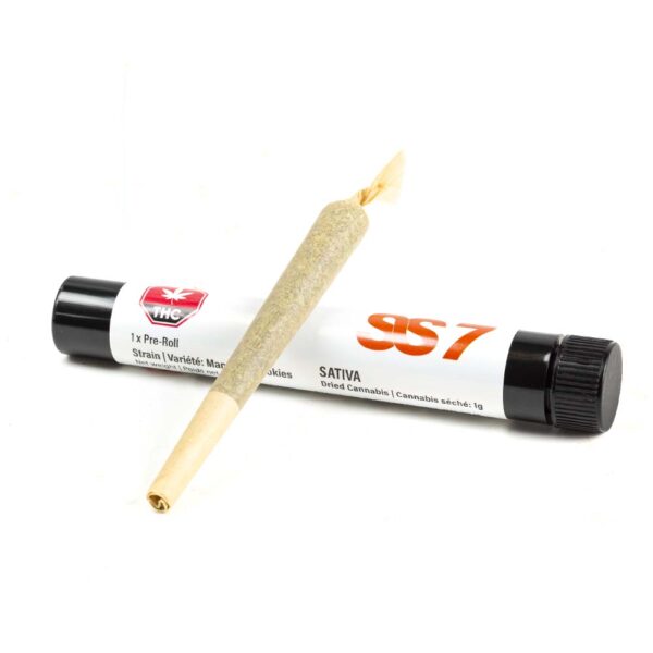 FG13 | 1 Gram Pre-Roll | Sativa