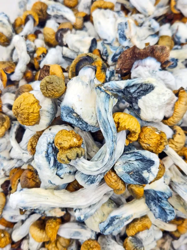 Jedi Mind Fuck Magic Mushrooms - 28g