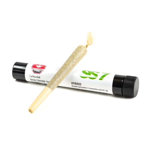 SS7 | 1g Pre-Roll | Ice Cream Hybrid