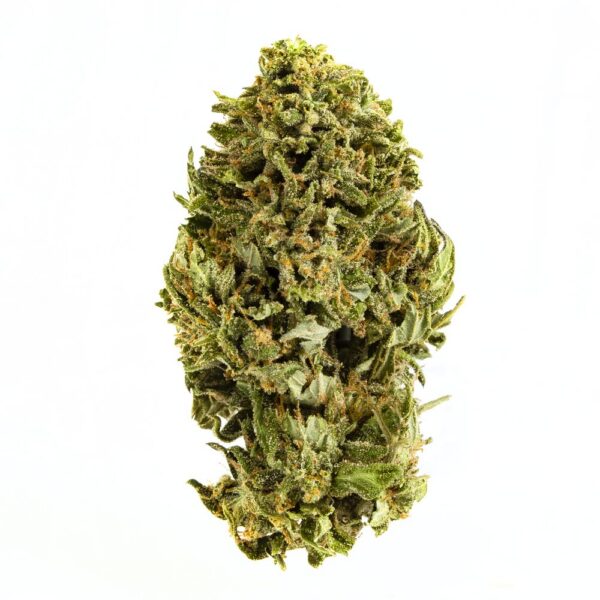 Time Warp Organic Sun Grown  - 28g