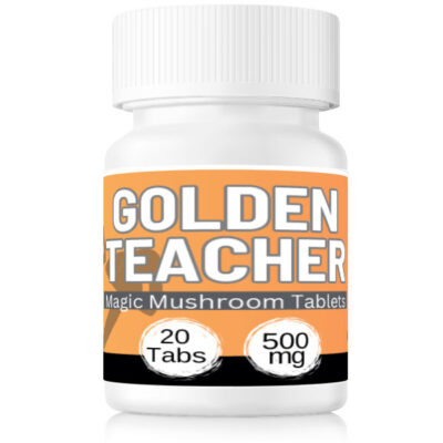 Mega Golden Teacher Microdose Tablets 500mg