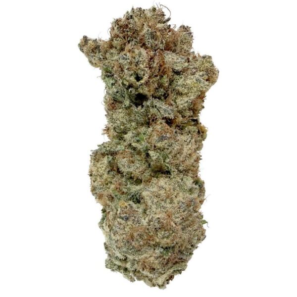 Super Boof Strain